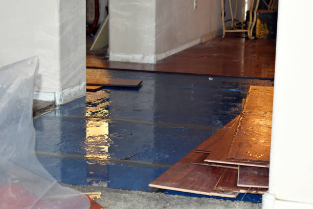 Professional Basement Flood Cleanup technician working in Wyandotte, OK
